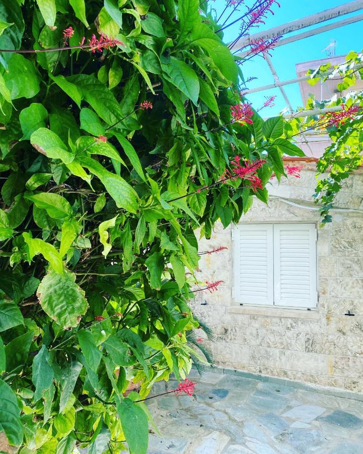 Little Cottage Athen Eksteriør bilde